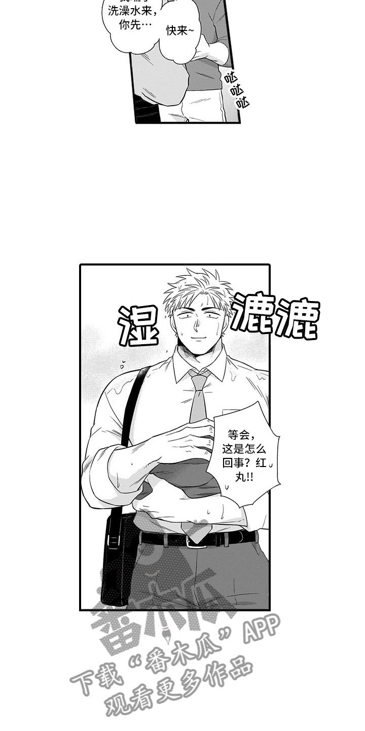 第21章：猫咪