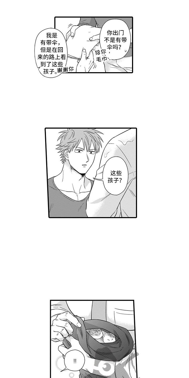 第21章：猫咪