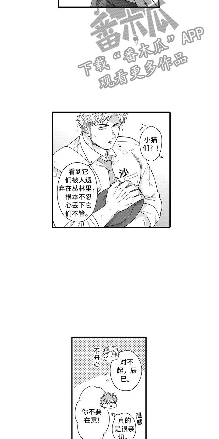 第21章：猫咪