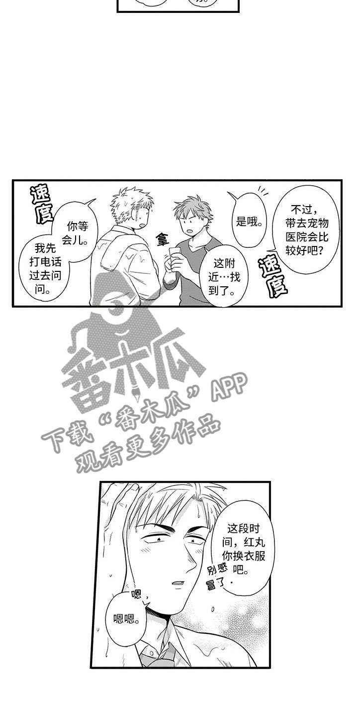 第21章：猫咪