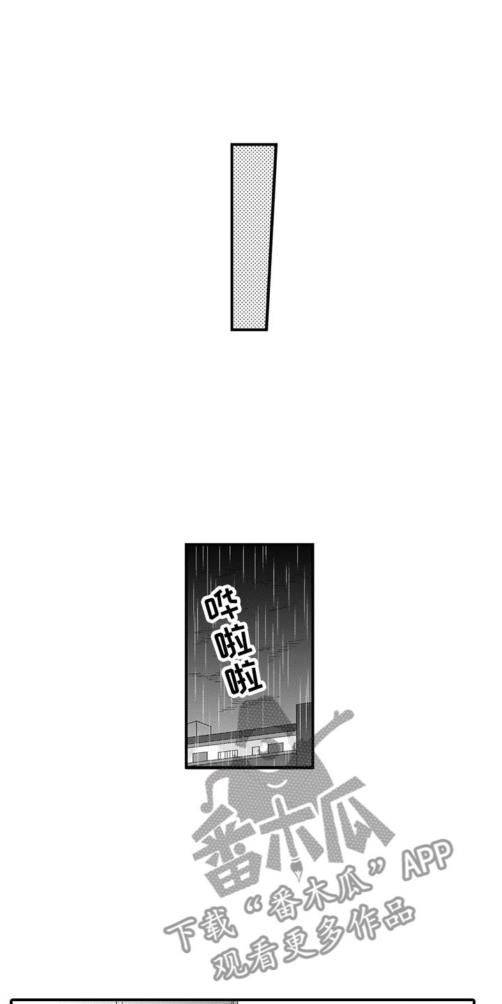 第21章：猫咪