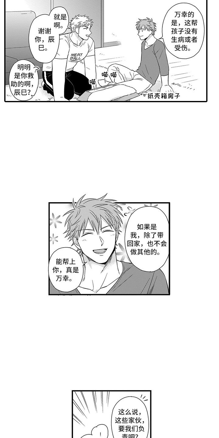 第21章：猫咪