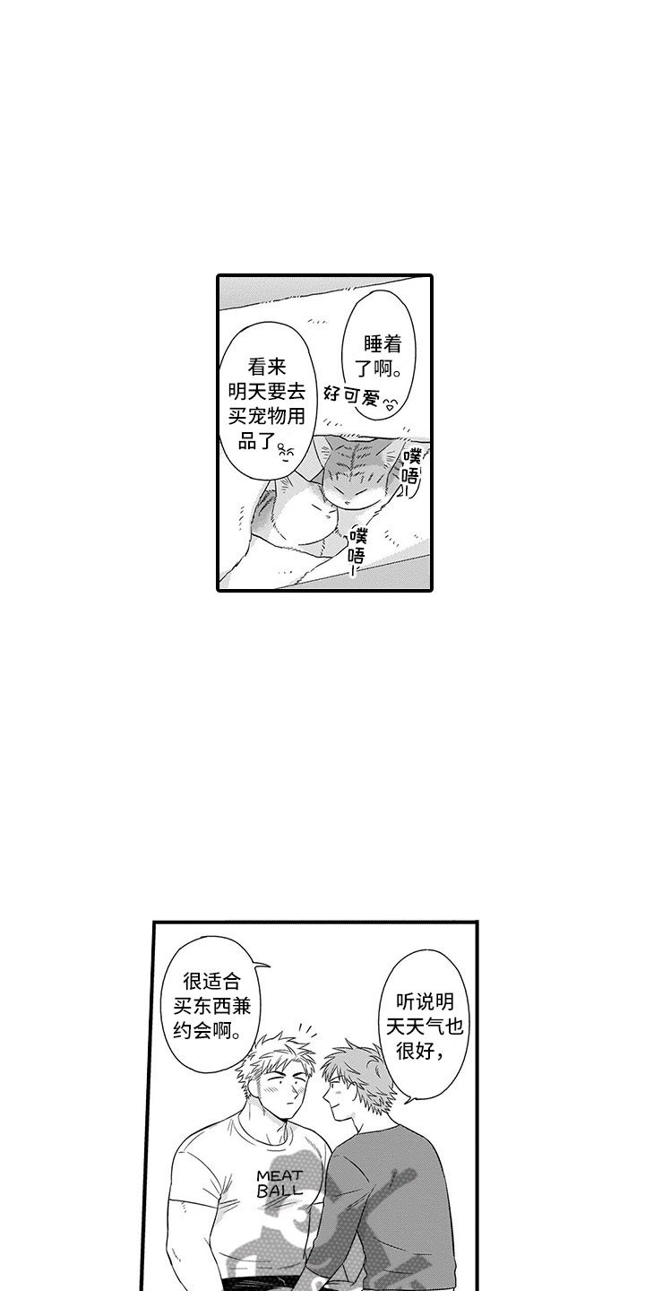 第21章：猫咪