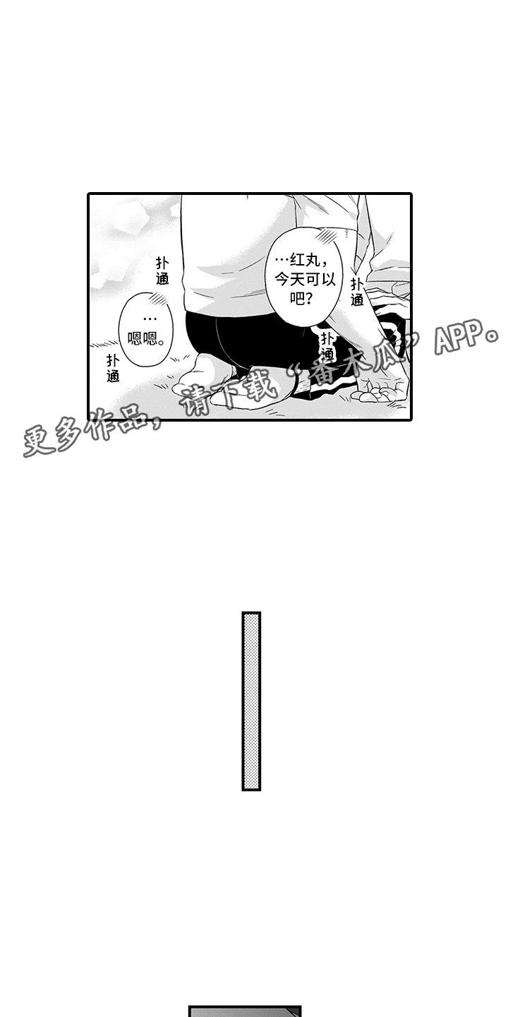 第21章：猫咪