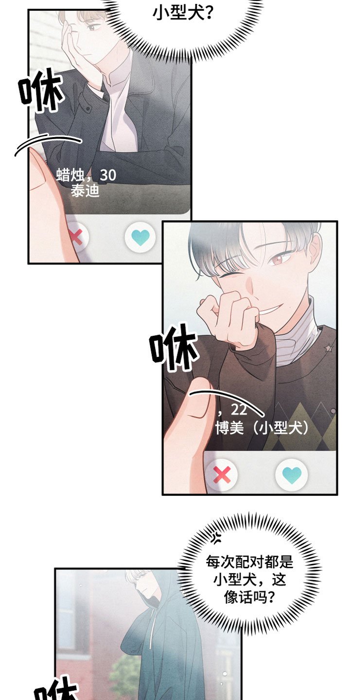 第1章：小型犬