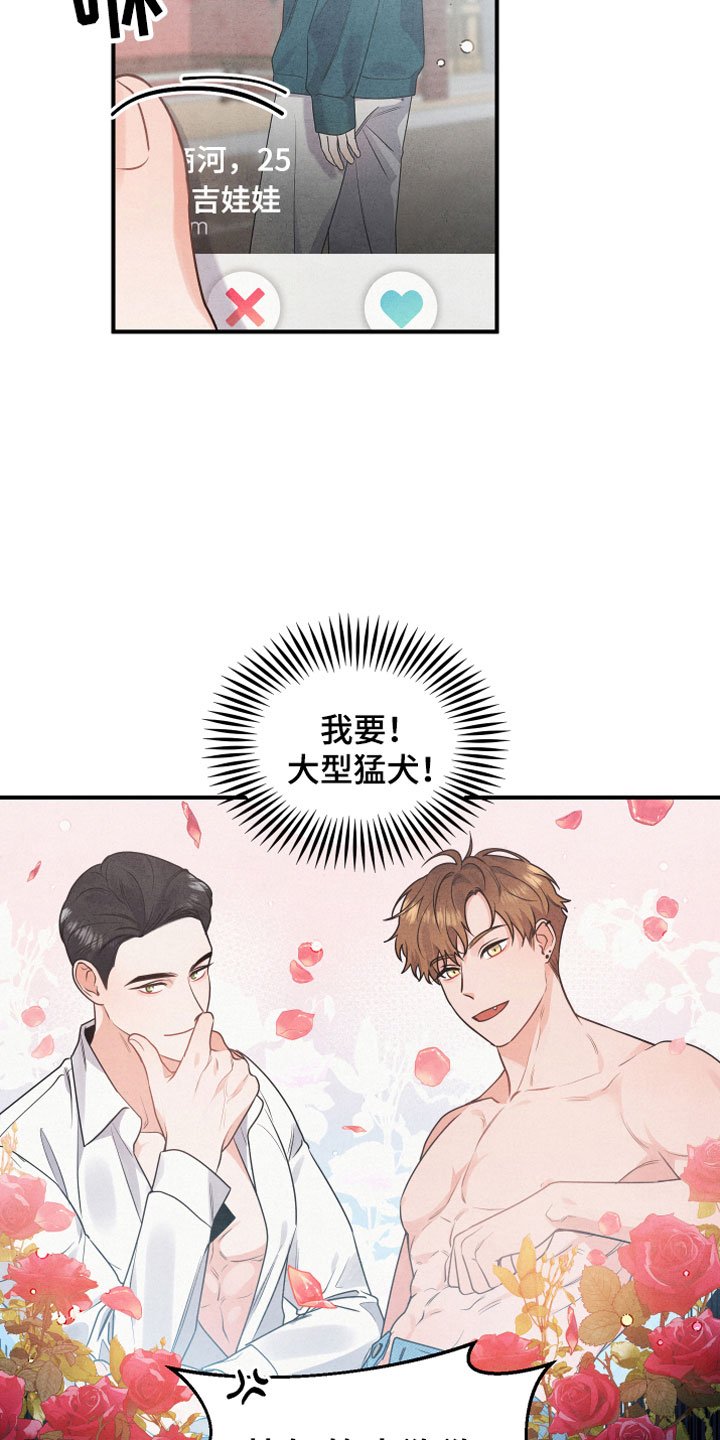 第1章：小型犬