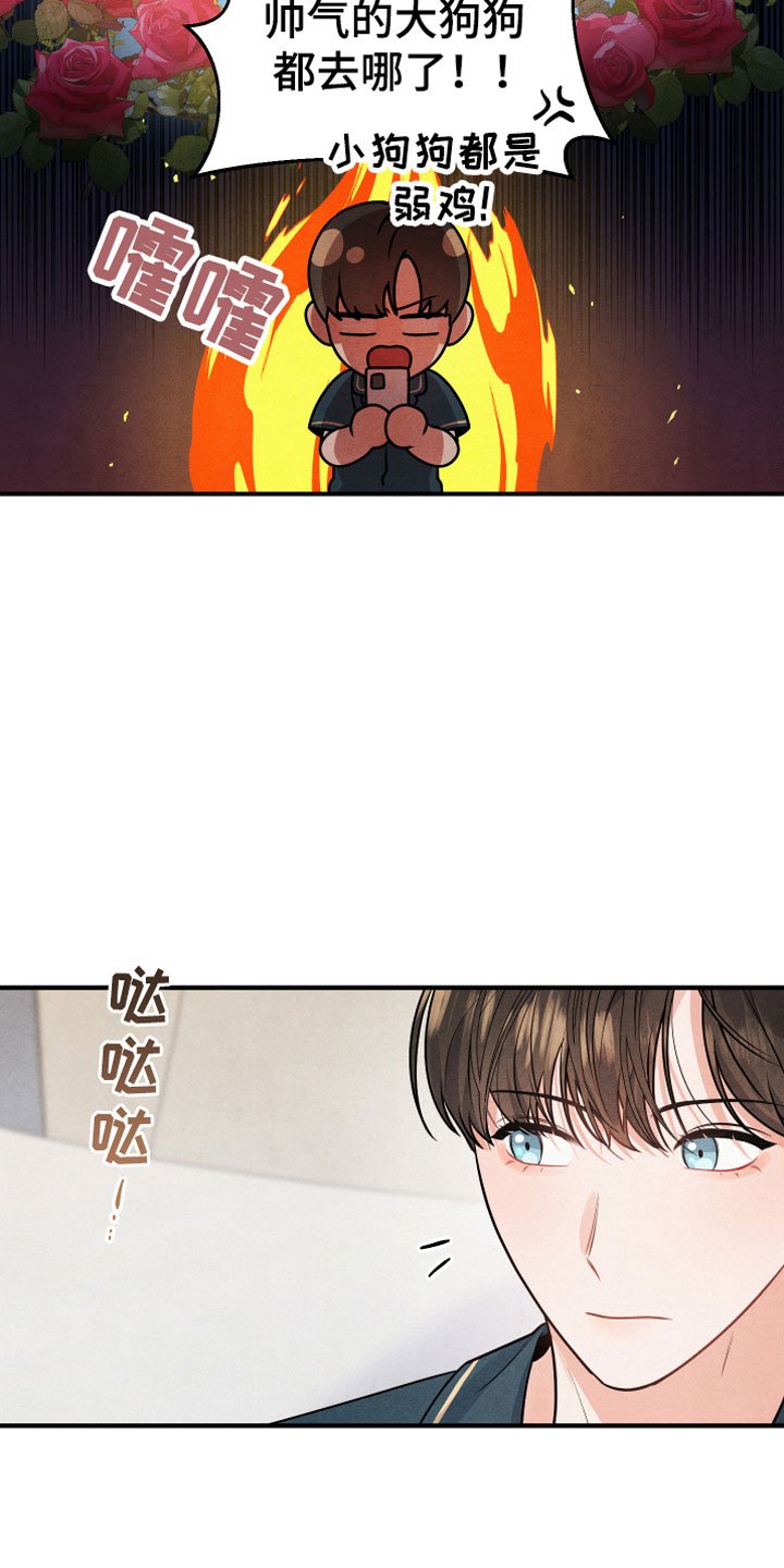 第1章：小型犬