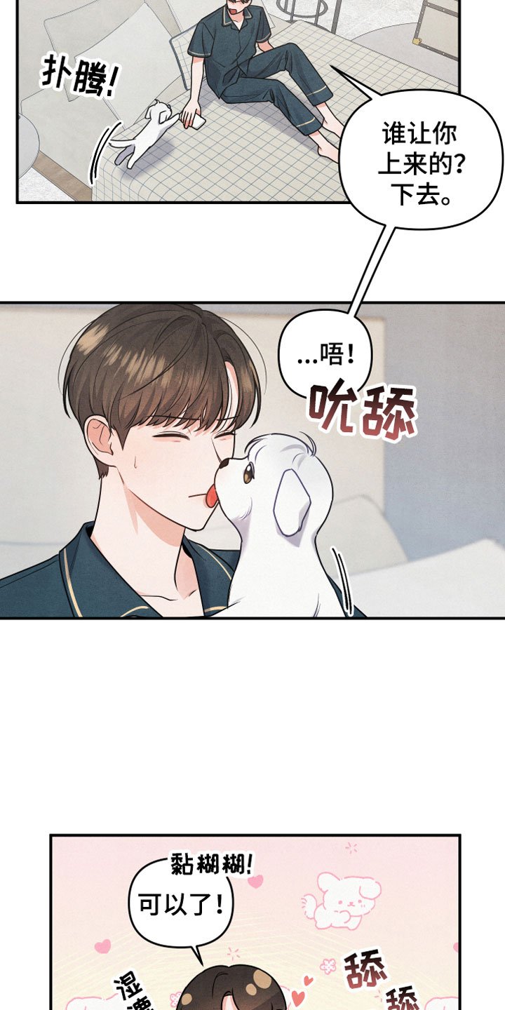 第1章：小型犬