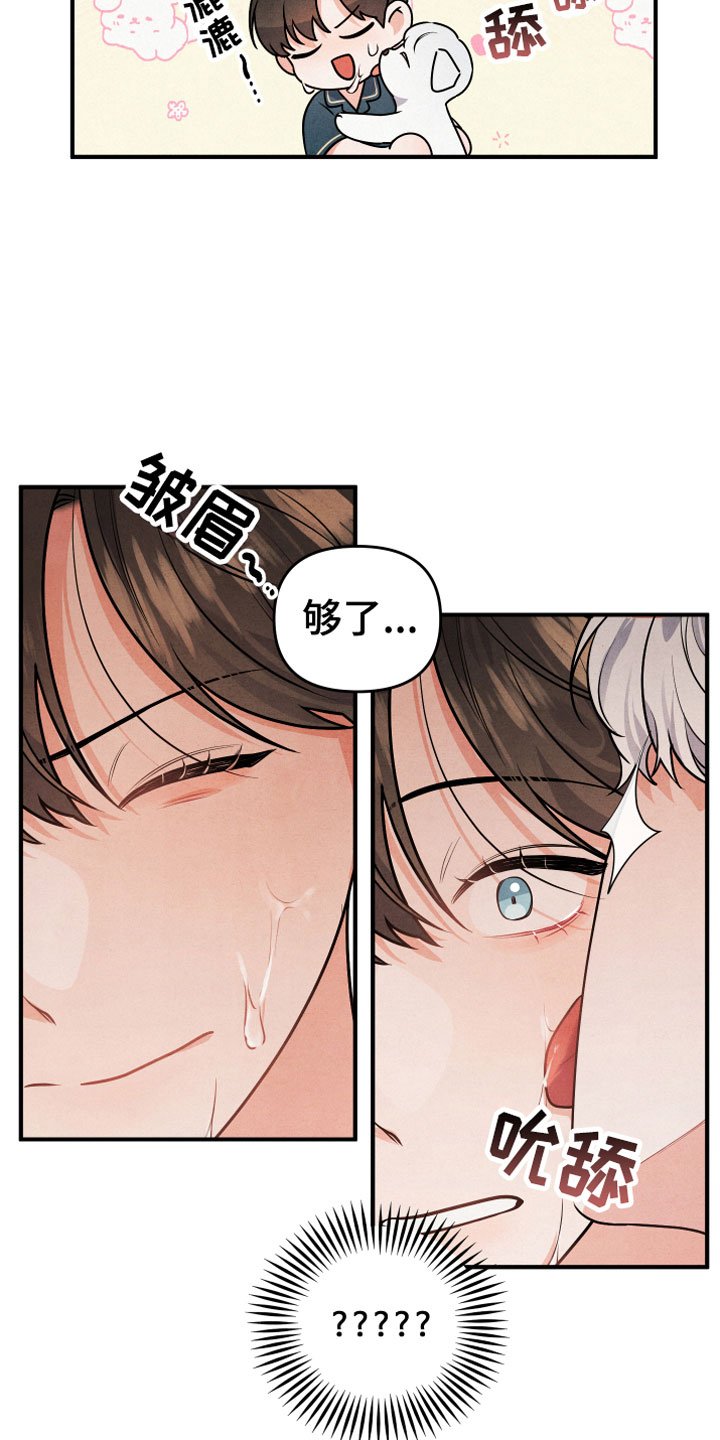 第1章：小型犬