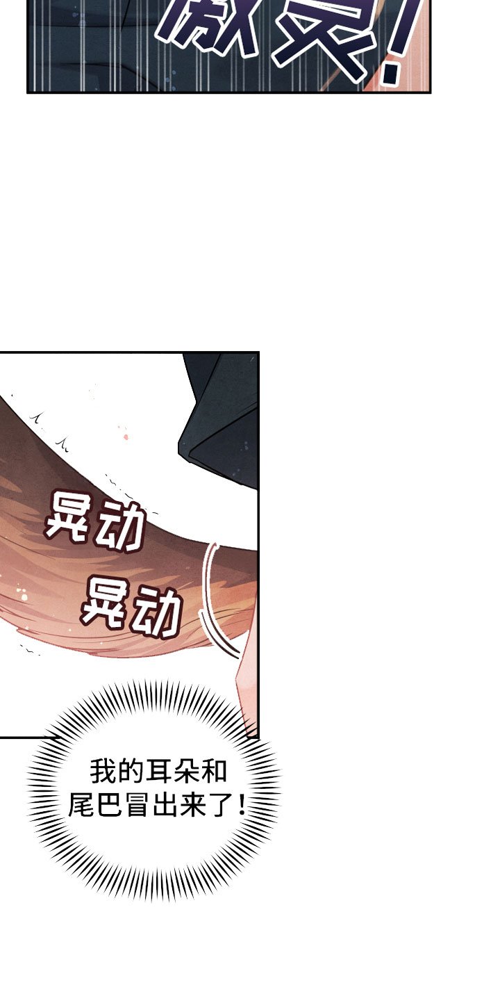 第1章：小型犬