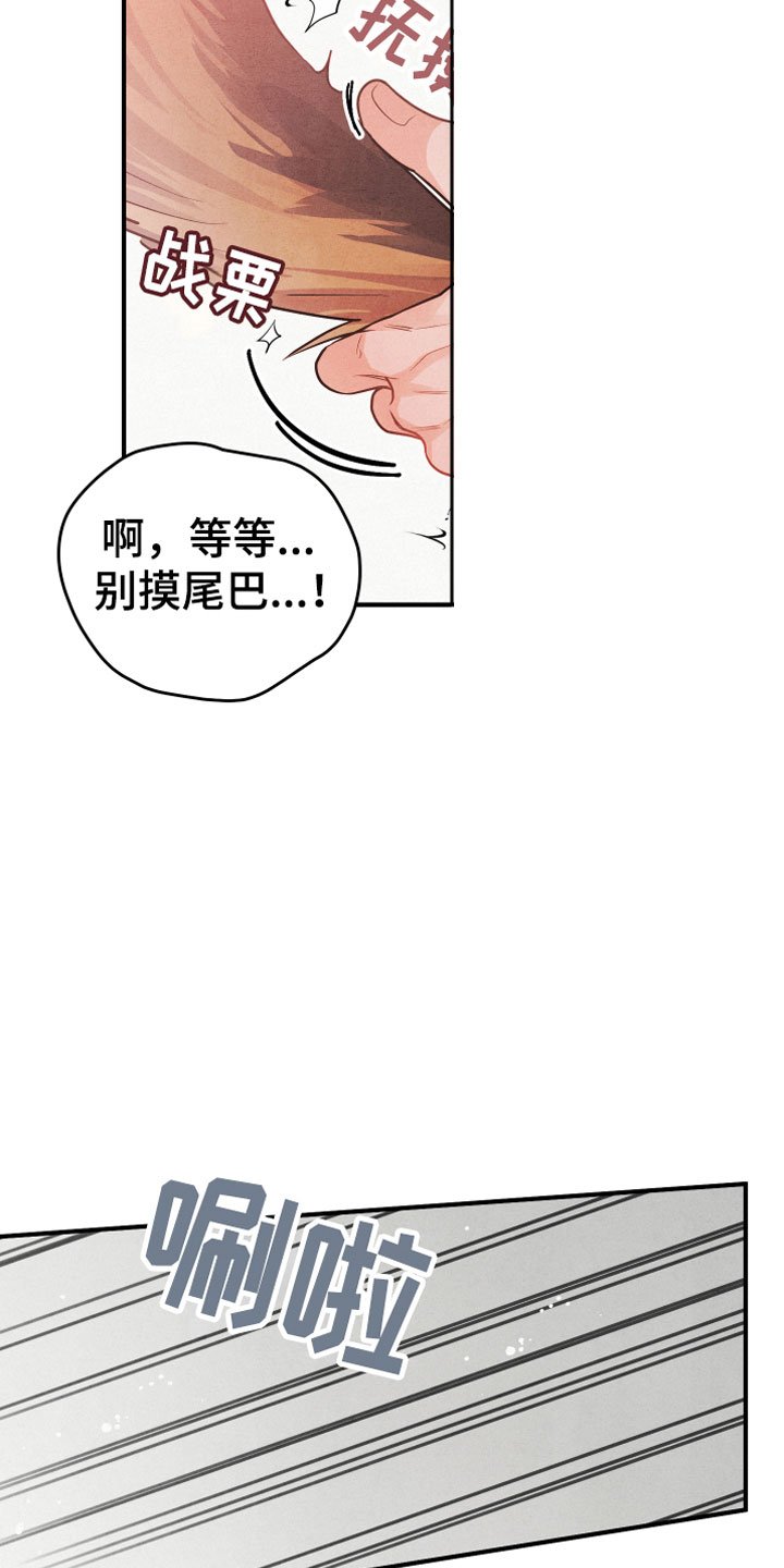 第1章：小型犬