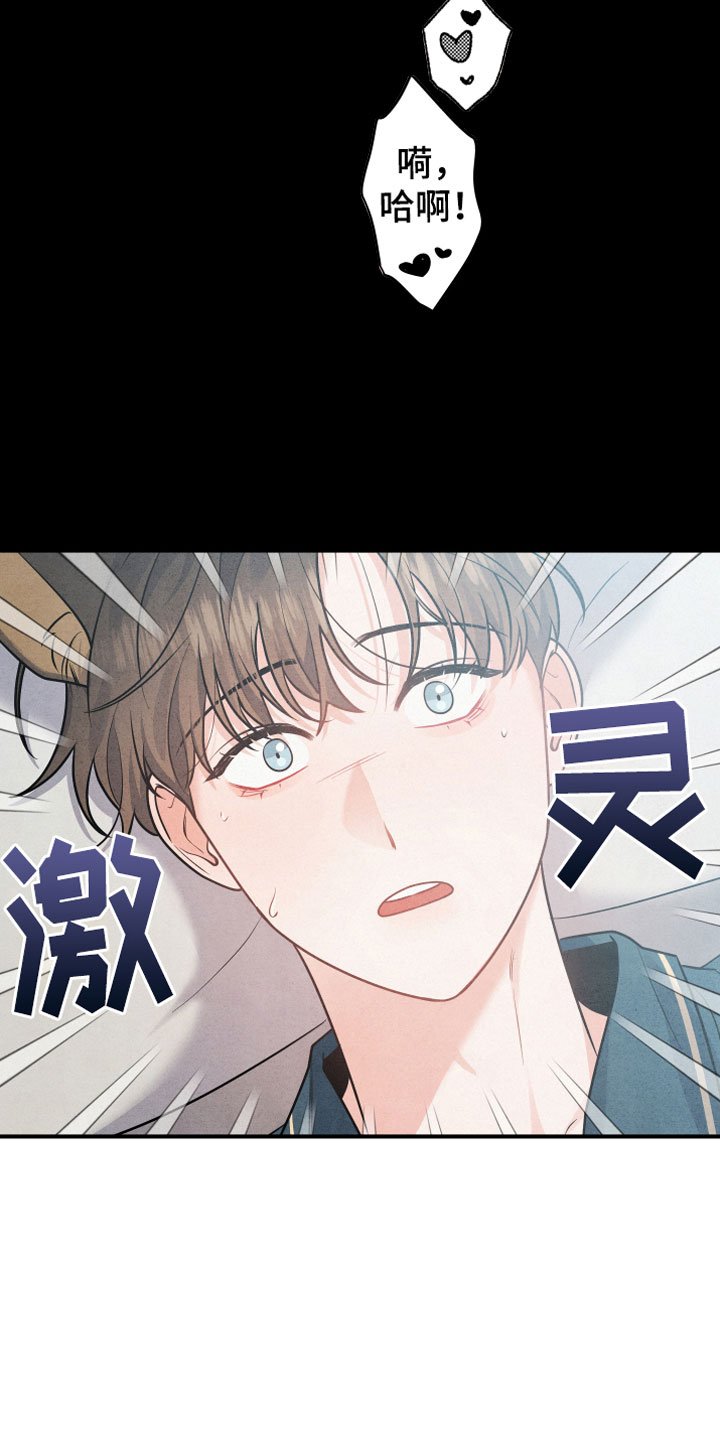 第1章：小型犬