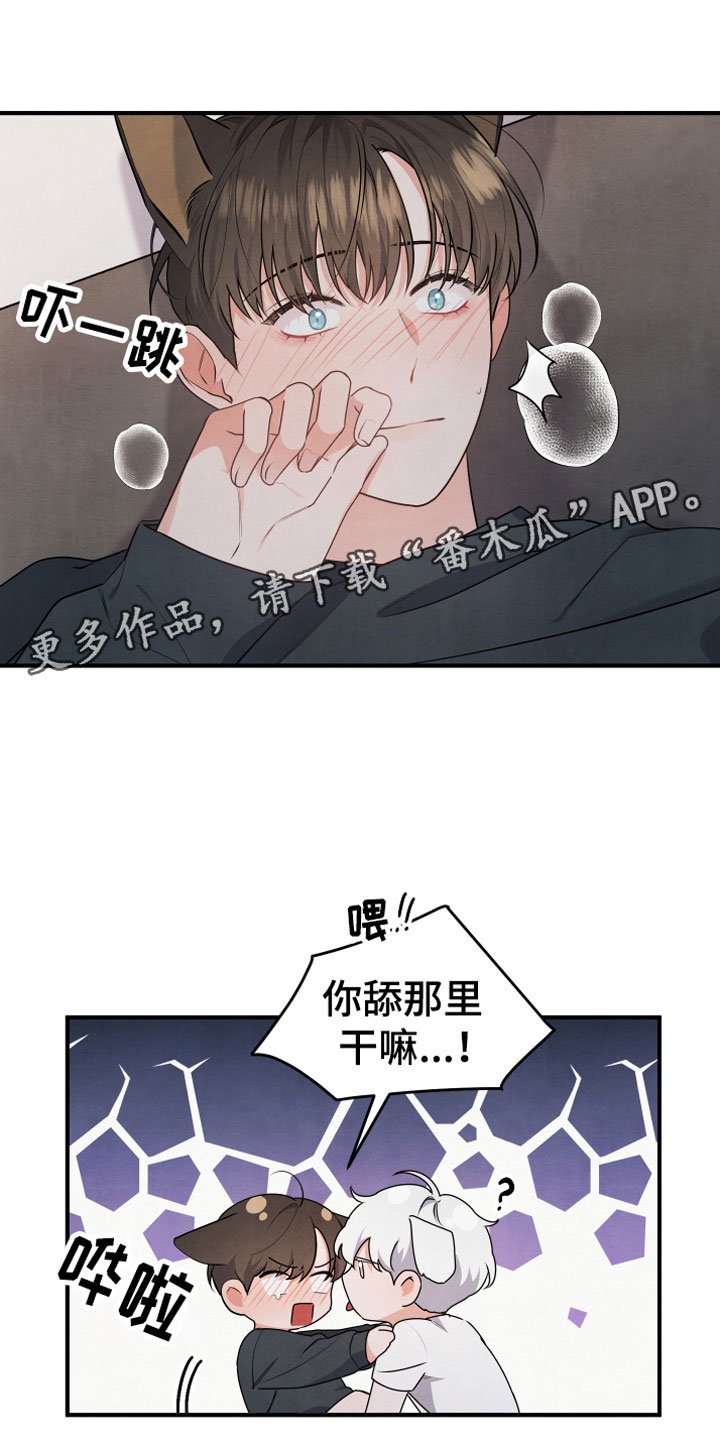 第10章：不一样