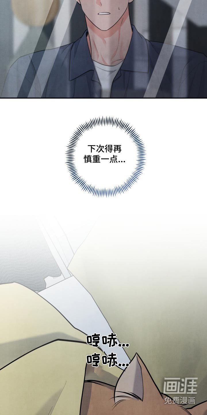 第134章：【第三季】我们的家
