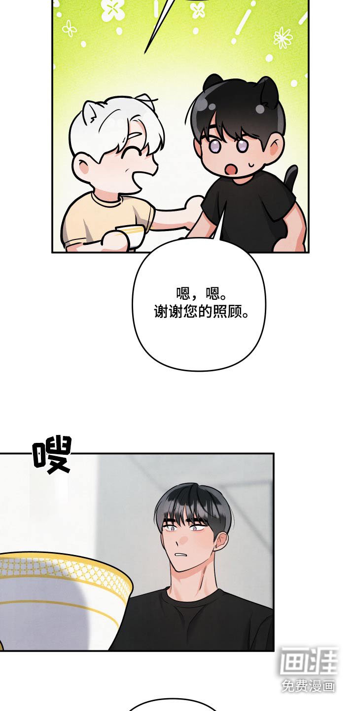 第134章：【第三季】我们的家