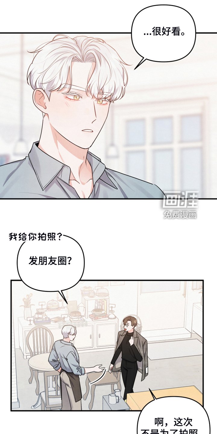 第16章：衬衫的价钱