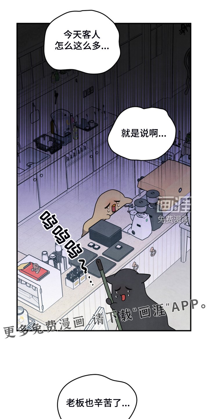 第18章：并不熟