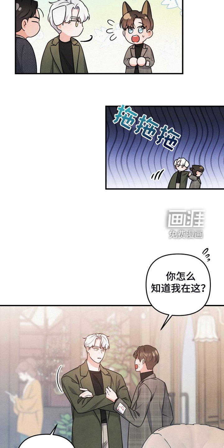 第19章：你的客人