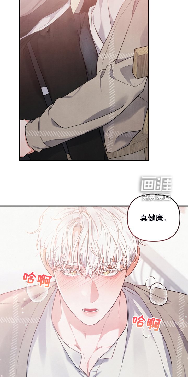 第26章：我是不是疯了