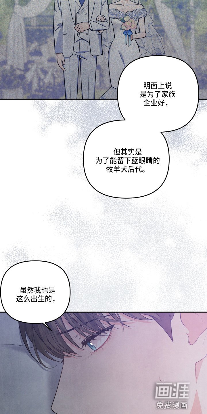 第27章：讨厌结婚