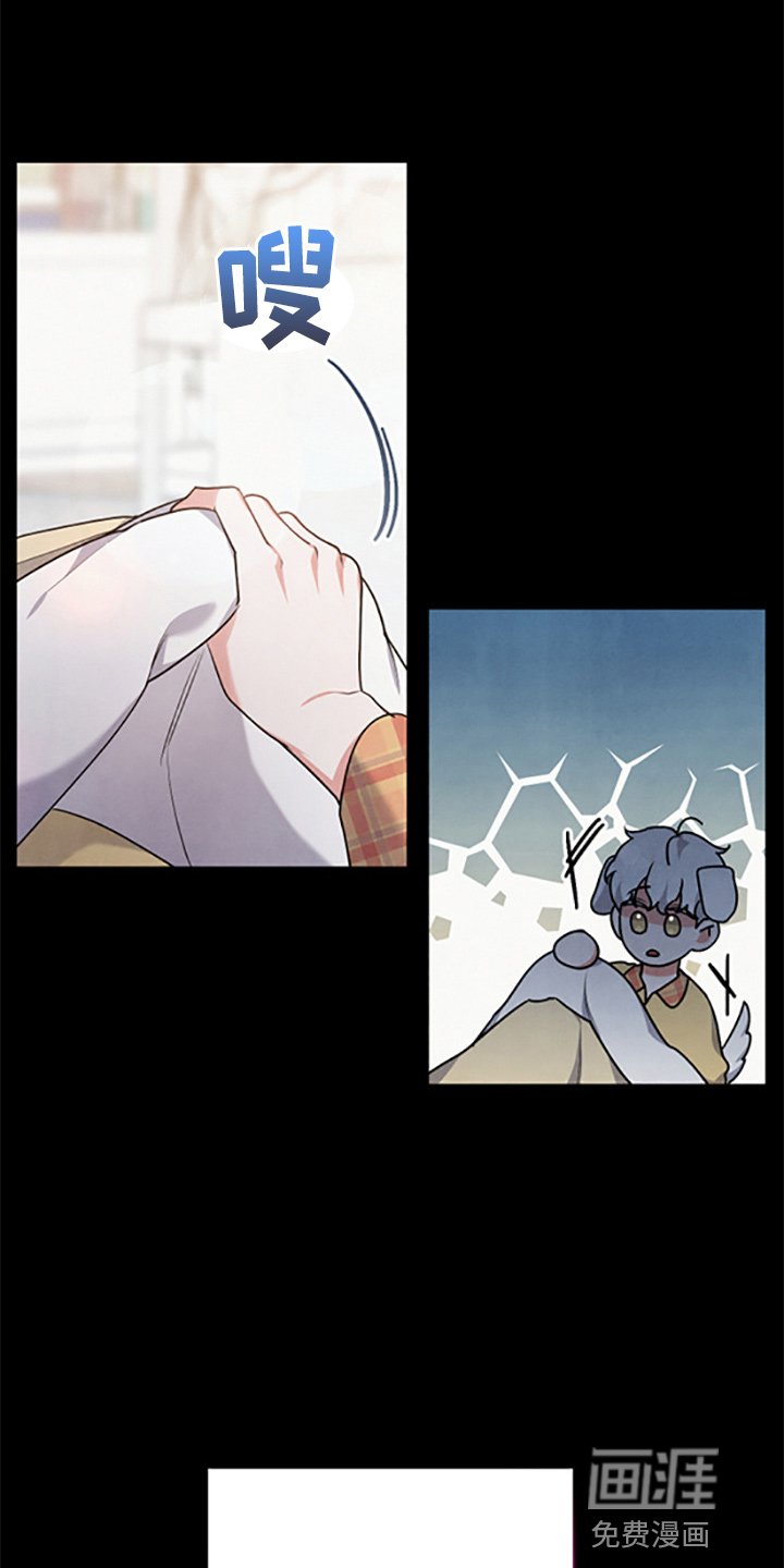 第36章：理想型