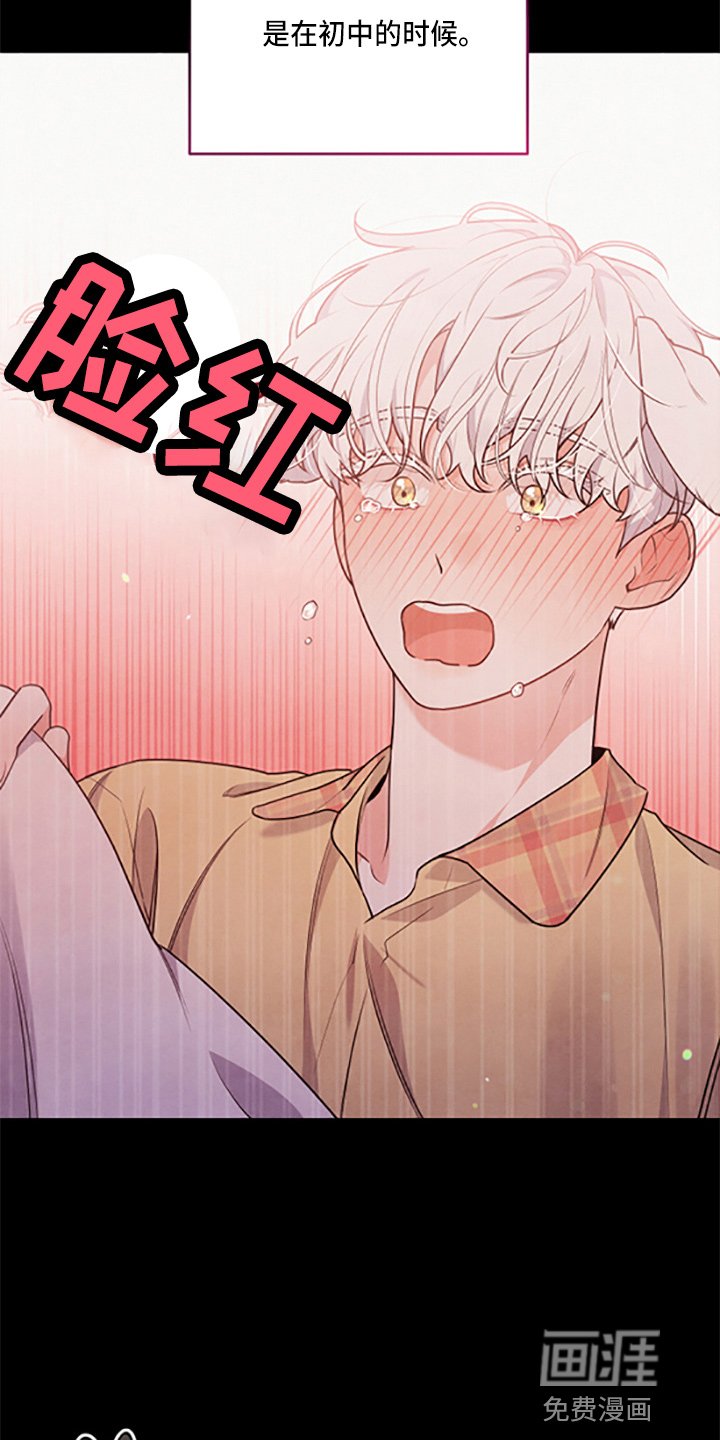 第36章：理想型