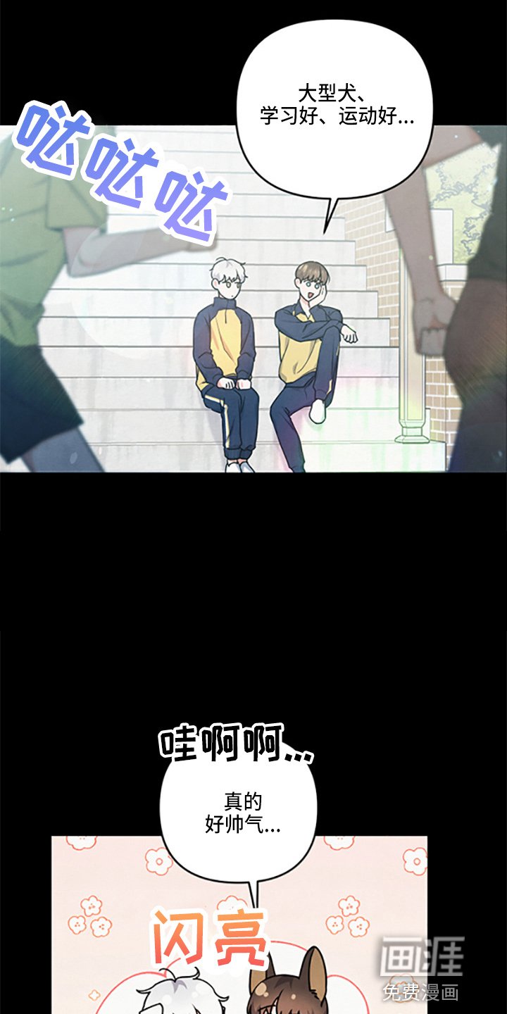 第36章：理想型