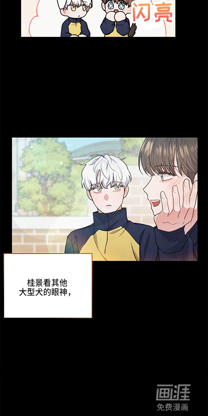 第36章：理想型
