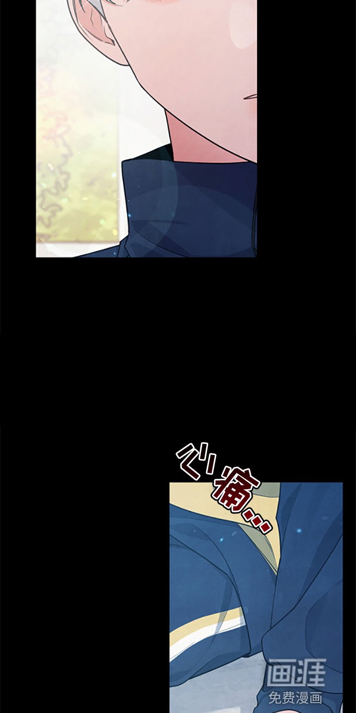 第36章：理想型