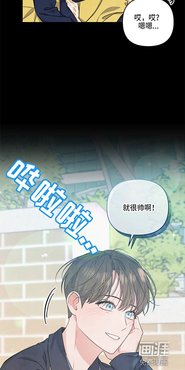 第36章：理想型