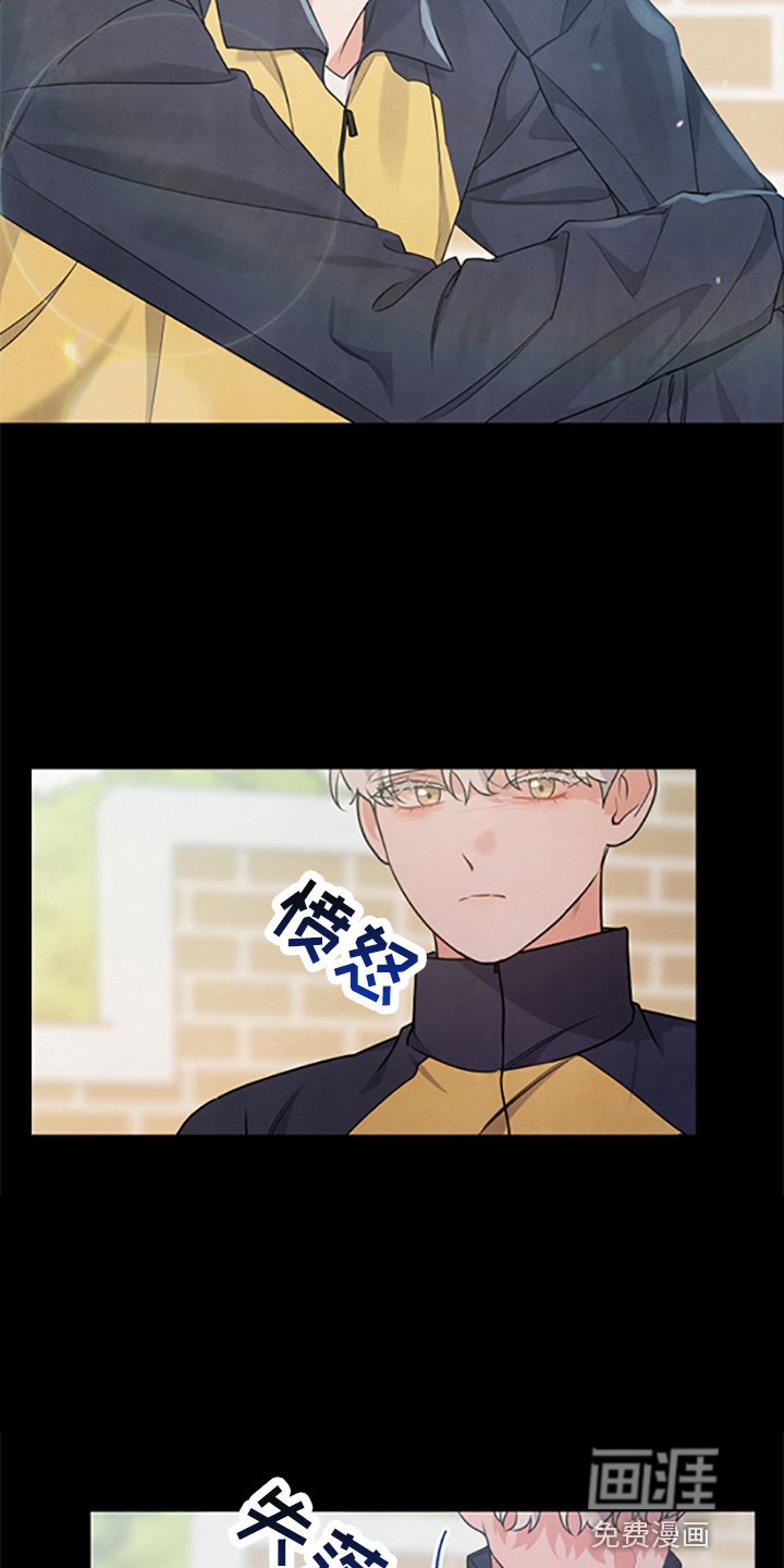 第36章：理想型