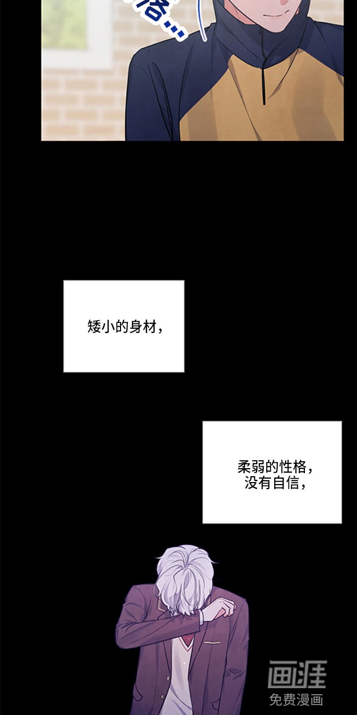 第36章：理想型