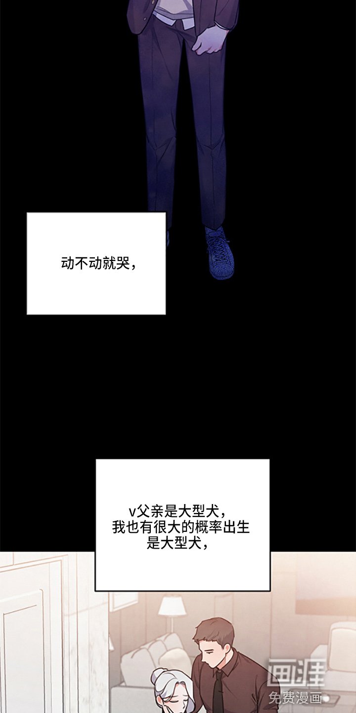 第36章：理想型