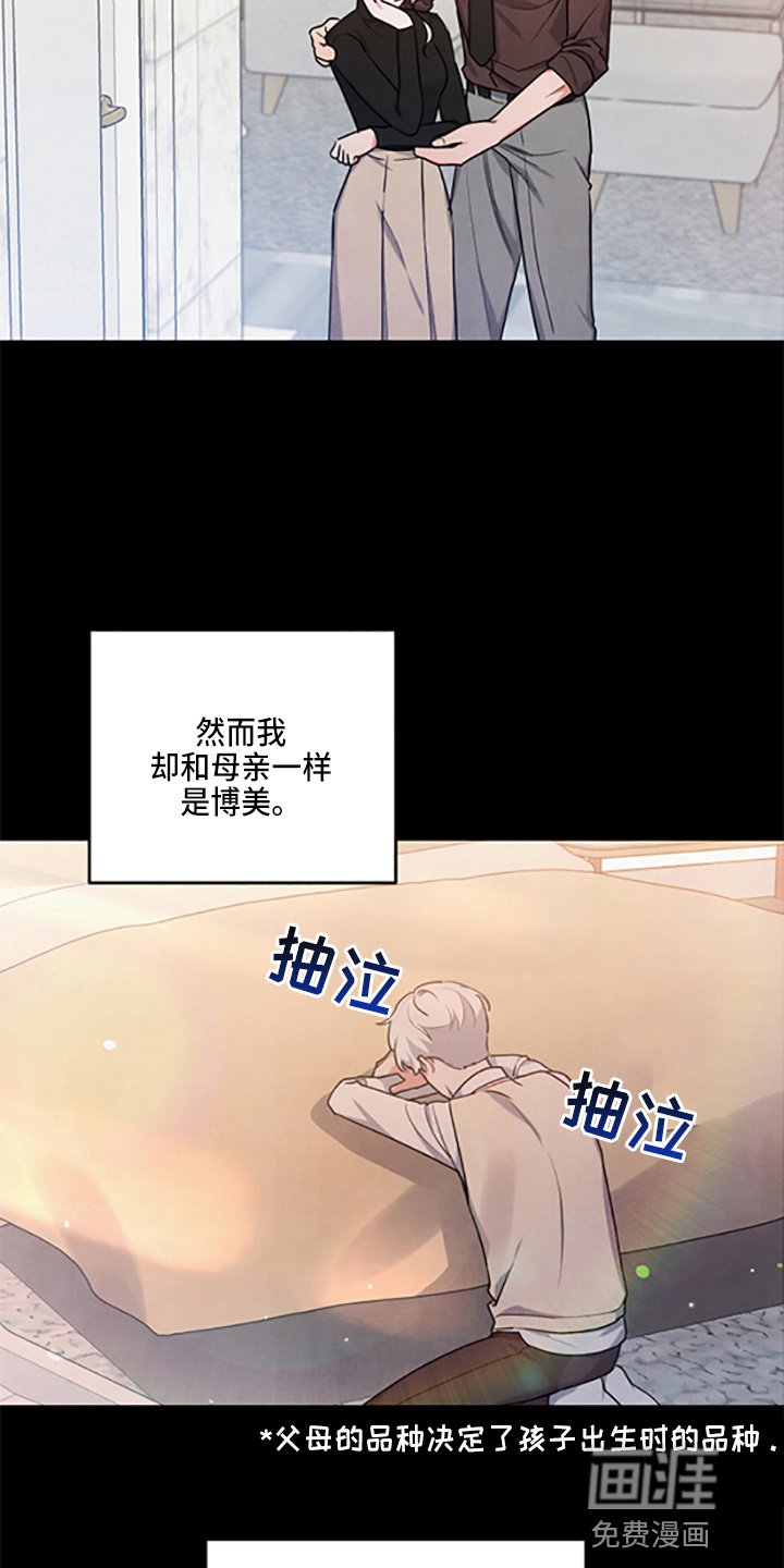 第36章：理想型
