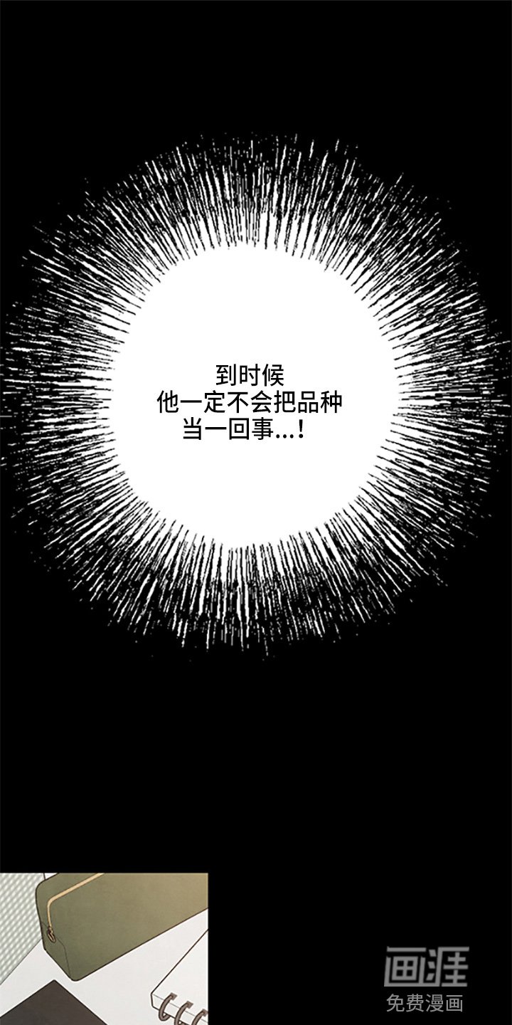 第36章：理想型