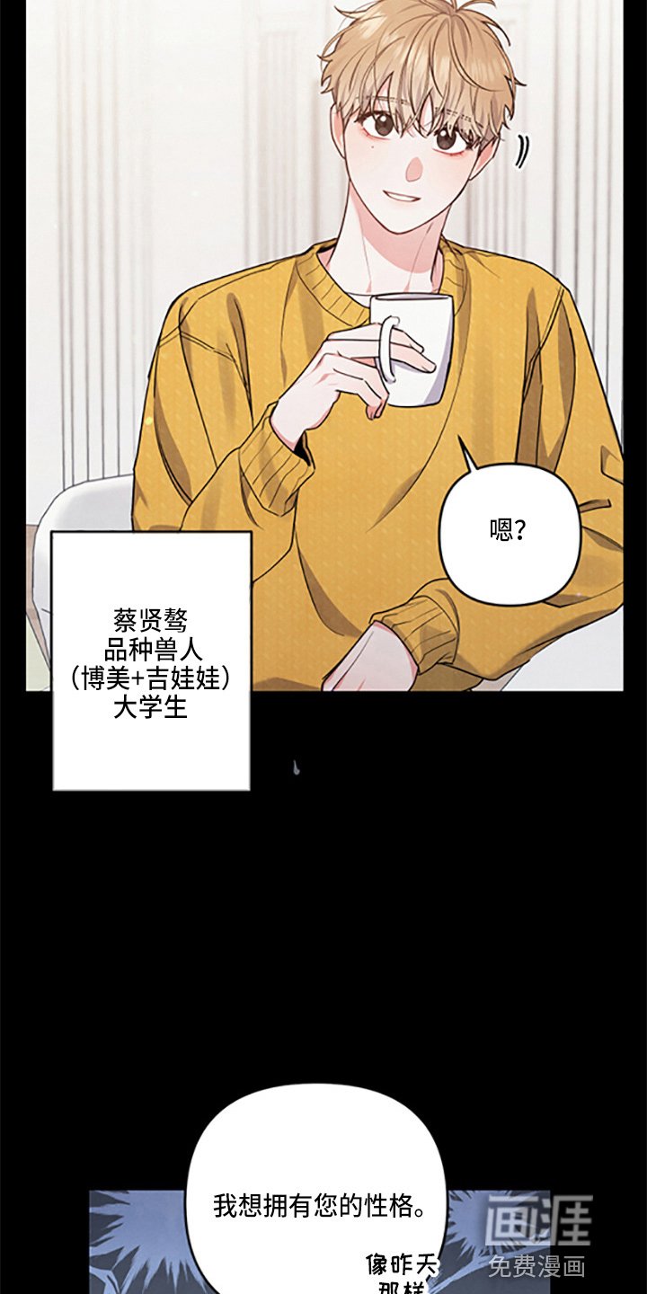 第36章：理想型