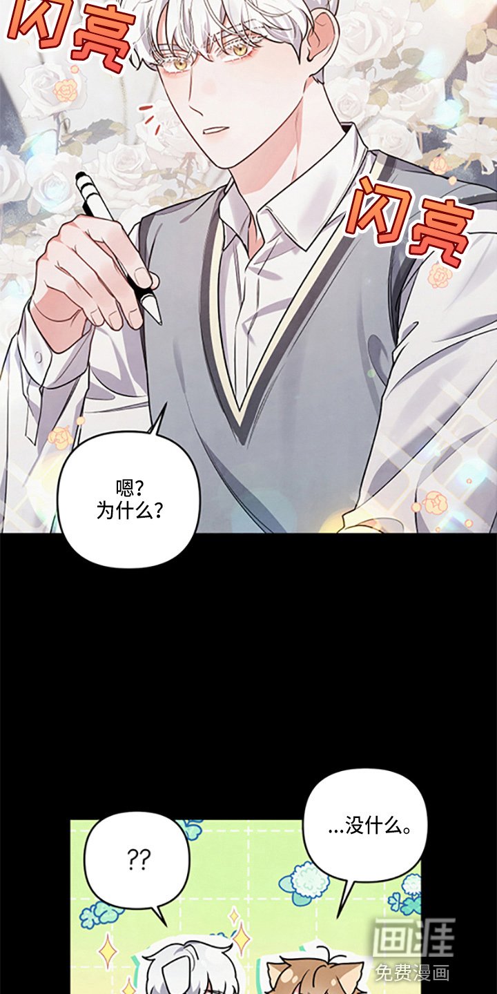 第36章：理想型