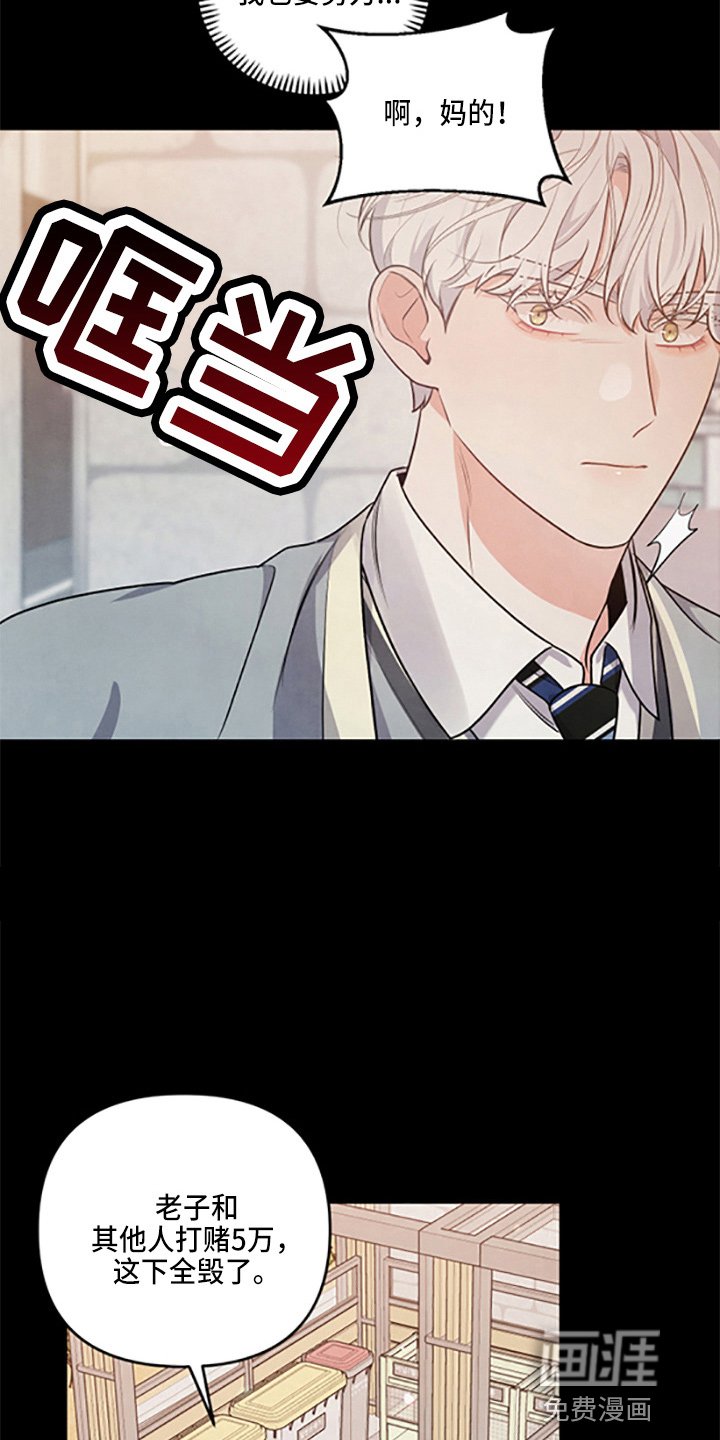第37章：保护了