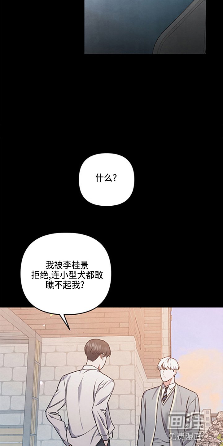 第37章：保护了