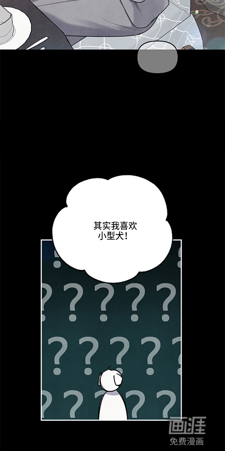 第37章：保护了