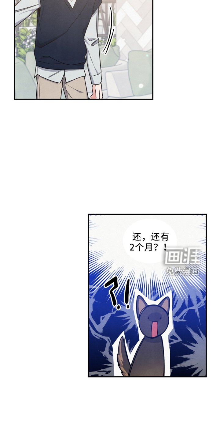 第40章：婚期
