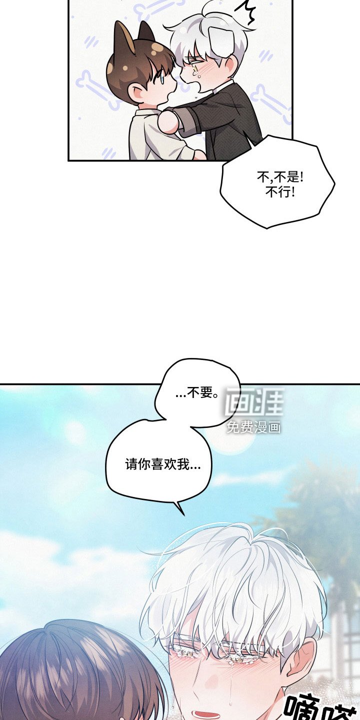第50章：第一位