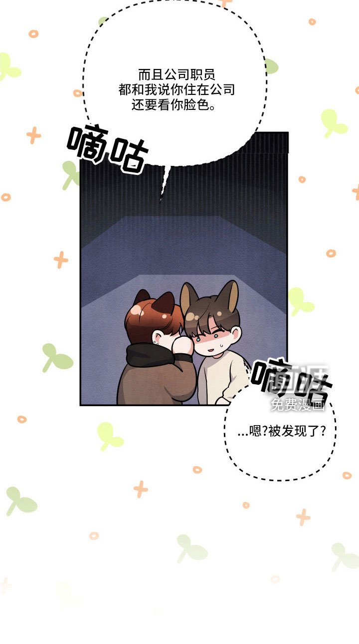 第54章：全是我的错