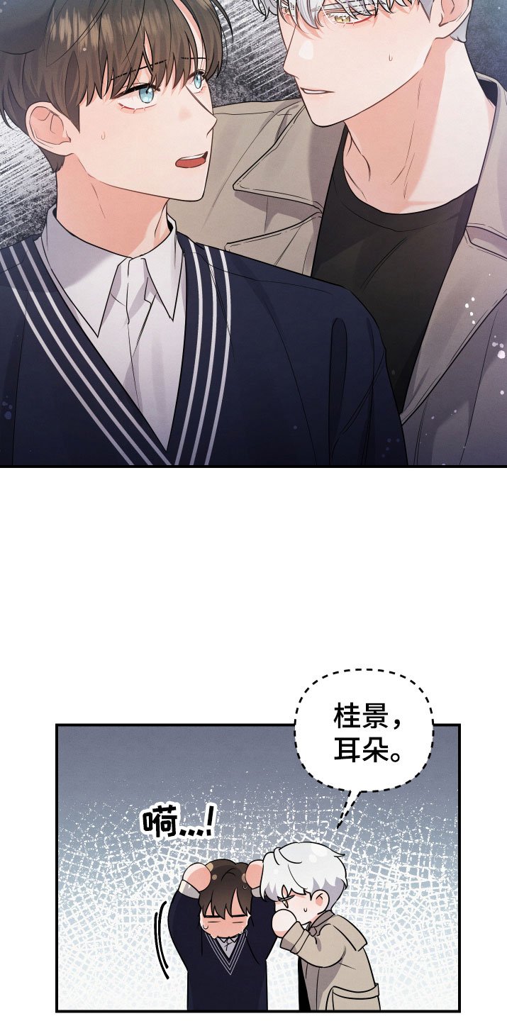 第6章：要求