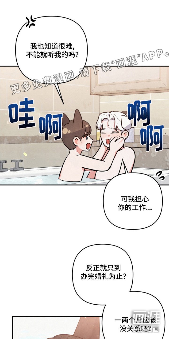 第60章：山茶花