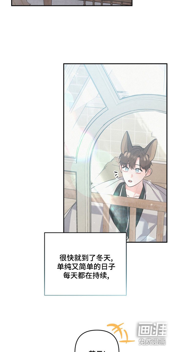 第60章：山茶花
