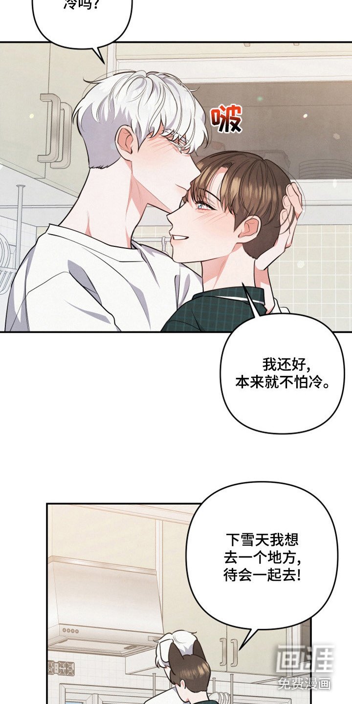 第60章：山茶花