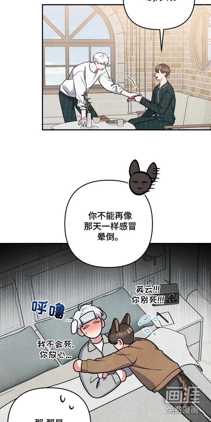 第60章：山茶花