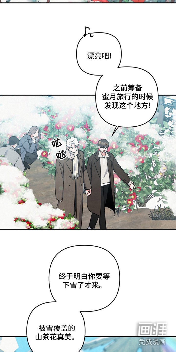 第60章：山茶花