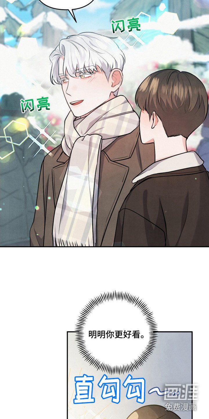 第60章：山茶花